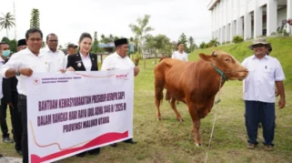 Sapi Kurban Presiden Adalah Bantuan Pemerintah kepada Rakyat