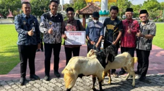 Semarak Iduladha, Kementerian PKP Salurkan 10 Sapi dan Dua Kambing Kurban di Jakarta Pusat