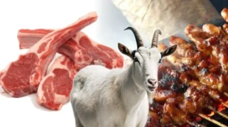 Sering Disalahkan, Ternyata Daging Kambing Tak Seperti yang Dikira: Fakta Nutrisi dan Pengolahan yang Perlu Diketahui