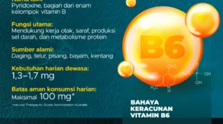 Sering Minum Vitamin B6? Waspadai Dosis Berlebih dan Risikonya