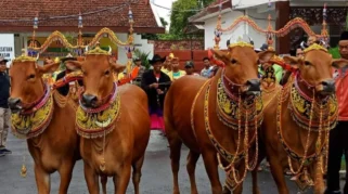 Simak Beragam Tradisi Unik Perayaan Iduladha di Berbagai Negara