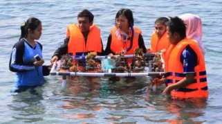 Siswa TK di Banyuwangi Ikut Menanam Terumbu Karang di Bangsring Underwater