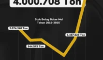 Stok Beras Nasional Mencapai 5,39 Juta Ton, Tertinggi Sejak Kemerdekaan Indonesia