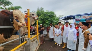 Stok Hewan Kurban Jatim Melimpah hingga Surplus, Siap Ekspor ke Malaysia dan Arab Saudi