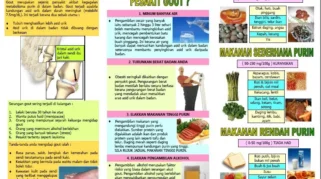 Strategi makanan sehat untuk diet pada penderita gout