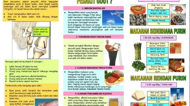 Strategi makanan sehat untuk diet pada penderita gout