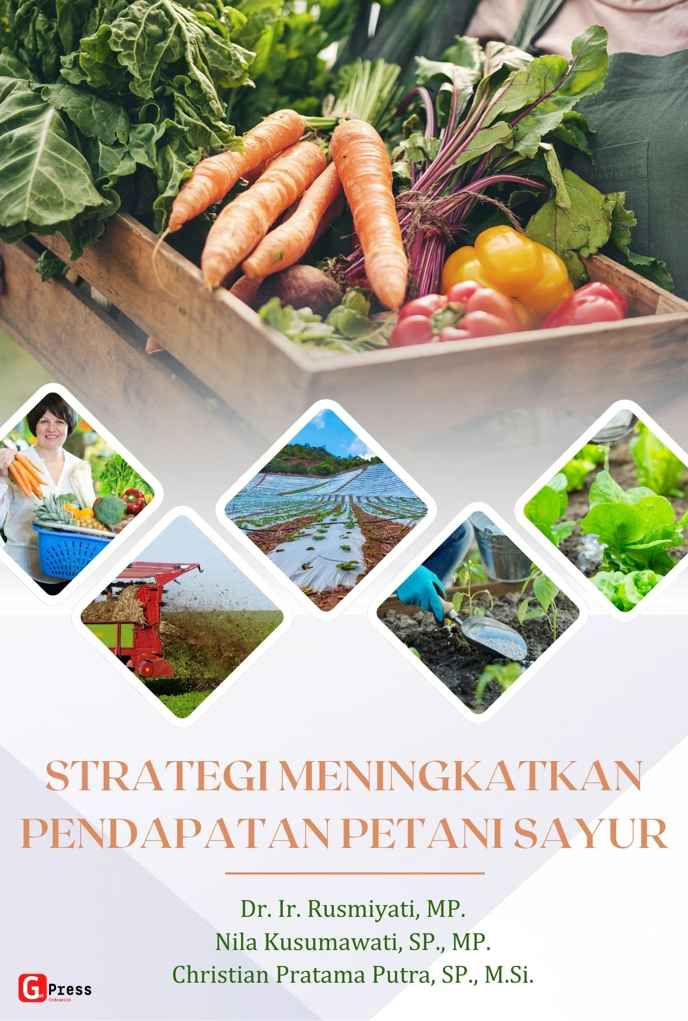 Strategi Mengoptimalkan Pendapatan