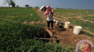 Sumur Bor Pokir Mulai Terwujud, Legislator PDIP Jombang Pastikan Petani Tak Kekurangan Air