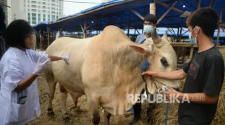 Tangsel Turunkan 108 Tim Pemantau untuk Pastikan Hewan Kurban Layak Konsumsi