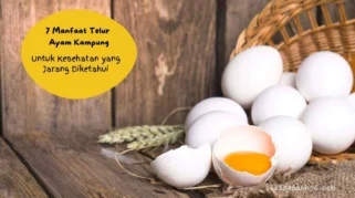 Telur: Senjata Rahasia untuk Naik Berat Badan Sehat yang Jarang Diketahui