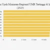 Terbaru! Ini 10 Kabupaten/Kota Dengan UMR Tertinggi di Indonesia 2026, Daerah Mana Saja?