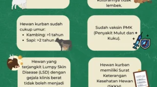 Tips Memilih Hewan Kurban Sehat Menjelang Iduladha 1447 Hijriah