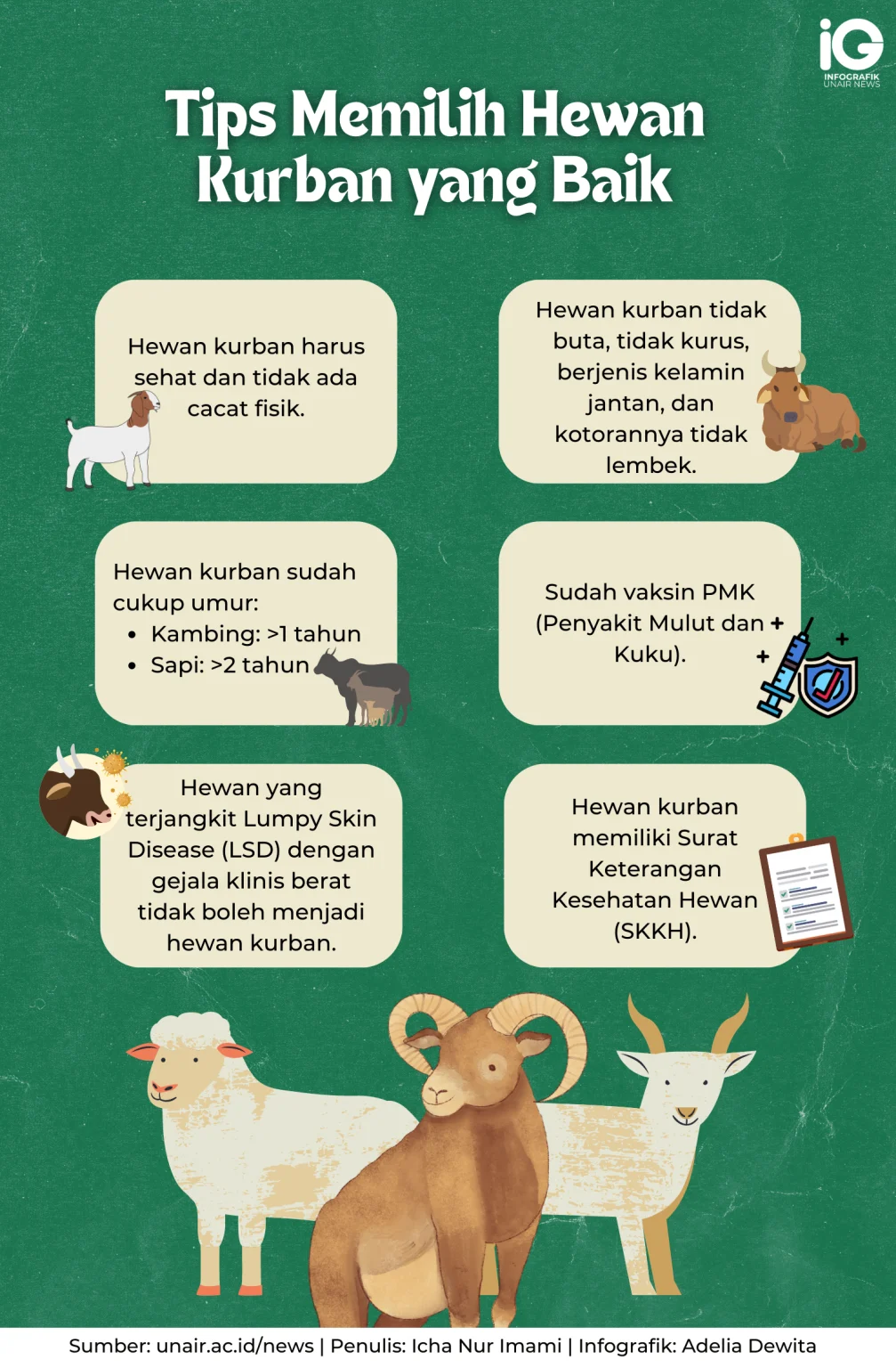 Tips Memilih Hewan Kurban Sehat Menjelang Iduladha 1447 Hijriah