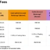 Tips Mengoptimalkan Fee Broker untuk Investor Cerdas