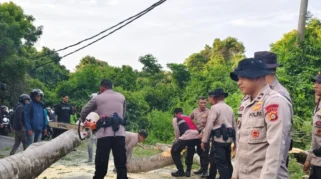 Tragedi Pohon Tumbang di Georgia: Lulusan SMA dan Ayahnya Meninggal Dunia Setelah Wisuda