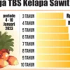 Turunnya Harga Sawit Setelah Pengumuman PT DSI: Dampak dan Penyebab Utama