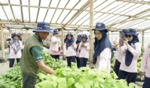 UGM Kembangkan Agrivoltaic Smart Farming untuk Wujudkan Desa Mandiri Hijau di Pandowoharjo Sleman