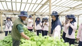 UGM Kembangkan Agrivoltaic Smart Farming untuk Wujudkan Desa Mandiri Hijau di Pandowoharjo Sleman