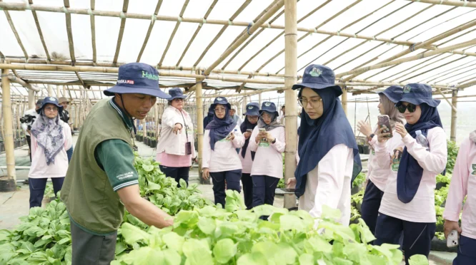 UGM Kembangkan Agrivoltaic Smart Farming untuk Wujudkan Desa Mandiri Hijau di Pandowoharjo Sleman