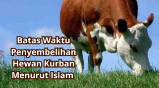 Umat Muslim Perlu Tahu, Ini Batas Waktu Penyembelihan Hewan Kurban | LPP RRI