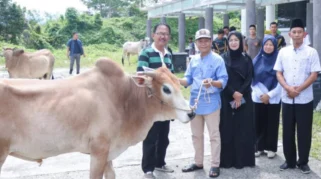 Uniska MAB Salurkan Sapi Kurban hingga ke Desa Jambu Burung, Tingkatkan Semangat Berbagi di Tengah Masyarakat