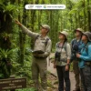 UNS Dorong Konservasi Berkelanjutan Lewat Ekowisata Birdwatching di Purwosari Kulonprogo