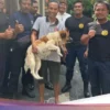 Video Viral Wanita Delhi Tampar Petugas Keamanan Usai Serang Anjing Jalanan