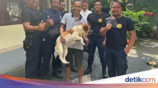 Video Viral Wanita Delhi Tampar Petugas Keamanan Usai Serang Anjing Jalanan