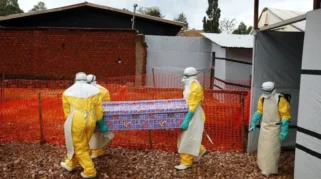 Wabah Ebola Kembali Melanda Kongo, Kemenkes Tingkatkan Kewaspadaan di Indonesia