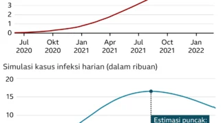 Wabah Hantavirus di Kapal Pesiar MV Hondius Terkonfirmasi pada Pasien dari Tujuh Negara