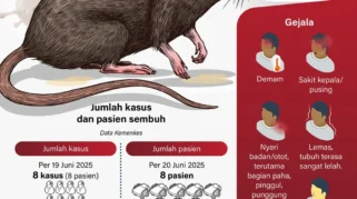 Wamenkes Pastikan Hantavirus di Indonesia Berbeda dengan Kasus Kapal Pesiar