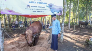 Wamensesneg Tegaskan Sapi Kurban Presiden Dibeli dari Peternak Lokal untuk Dukung Industri Peternakan Nasional