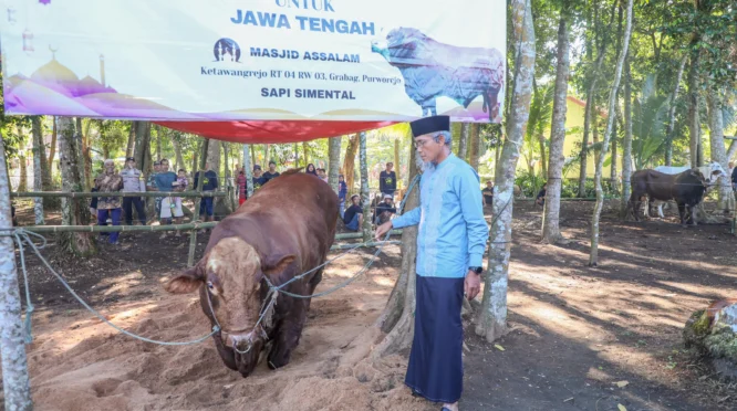 Wamensesneg Tegaskan Sapi Kurban Presiden Dibeli dari Peternak Lokal untuk Dukung Industri Peternakan Nasional