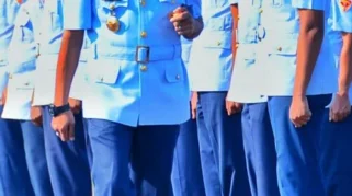 Warna Biru Seragam Tentara Napoleon Berasal dari Tanaman Nila di Jawa