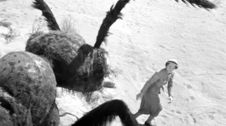72 Tahun Setelahnya, Film Sci-Fi Amerika 'Them' Mendapatkan Upgrade 4K yang Menghidupkan Kembali Klasik Raksasa Serangga