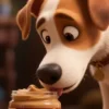 Adegan 'Sex and the City' yang Dihapus HBO: Anjing dan Selai Kacang Bikin Syok