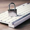 Adyen Report: First-Party-Fraud Jadi Ancaman Terbesar E-Commerce