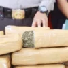 Bareskrim Gagalkan Pengiriman 10 Kg Ganja dari Padang ke Sidoarjo, Penerima Ditangkap