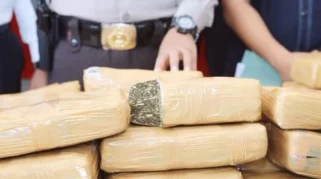 Bareskrim Gagalkan Pengiriman 10 Kg Ganja dari Padang ke Sidoarjo, Penerima Ditangkap