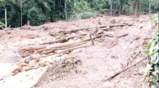 BNKP Salurkan Bibit Nila untuk Jemaat Terdampak Bencana di Tapanuli Tengah