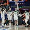 Bogor Hornbills Juara IBL 2026 Usai Kalahkan Pelita Jaya di Gim Kelima
