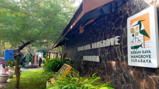 BRIDA Surabaya Kembangkan Pirolisis untuk Olah Sampah Plastik Mangrove Jadi Minyak Bakar