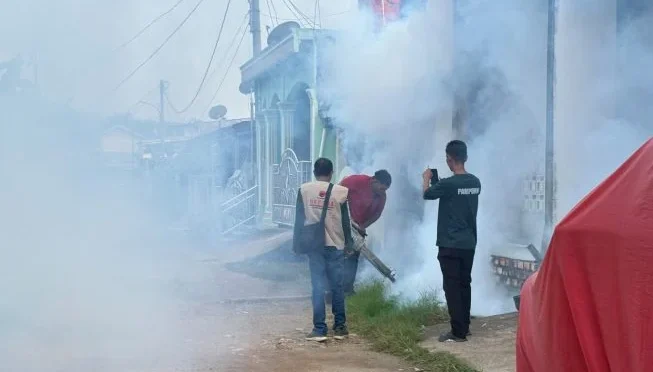 Bulan Bung Karno 2026: Kader PDIP Muba Gelar Aksi Peduli Lingkungan dan Fogging Cegah DBD