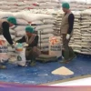 Bulog Serap 3 Juta Ton Beras, Capai 75 Persen Target 2026