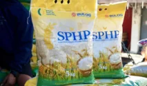 Bulog Sumut Salurkan 16.187 Ton Beras SPHP untuk Stabilkan Harga Hingga Awal Juni 2026