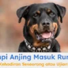 Cara Sederhana Mengetahui Anjing Anda Kidal atau Kanan, Versi Sains