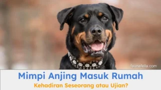 Cara Sederhana Mengetahui Anjing Anda Kidal atau Kanan, Versi Sains