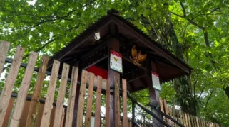 CCTV di TKP Pembiusan Wanita di Sempur Bogor Mati, Hanya Satu Kamera Berfungsi