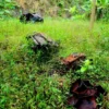 Dari Kampung Mati ke Desa Wisata: Kisah Relokasi Korban Gempa 2006 di Sleman