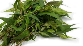 Daun Kesum Jadi Kunci Kelezatan Bubur Pedas Khas Kalimantan di Malang